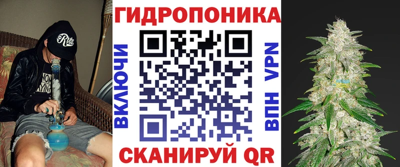 Шишки марихуана Amnesia  магазин продажи наркотиков  Тюмень 